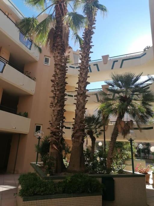 Appartement Vue Mer Sète Dış mekan fotoğraf